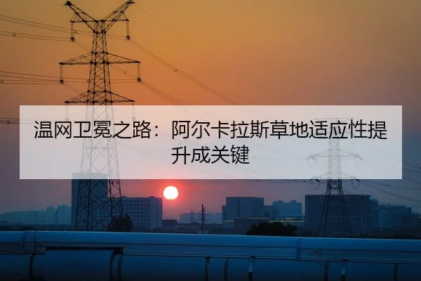 温网卫冕之路：阿尔卡拉斯草地适应性提升成关键