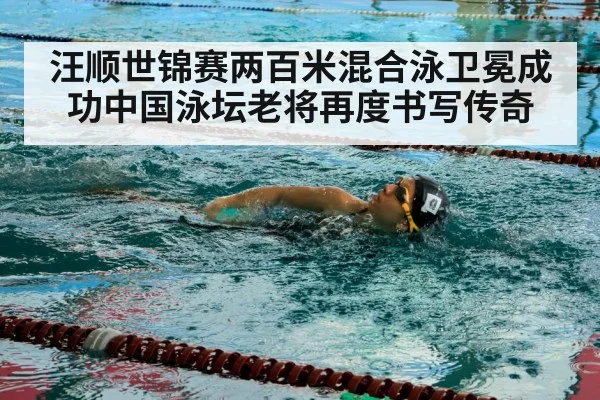 汪顺世锦赛两百米混合泳卫冕成功中国泳坛老将再度书写传奇