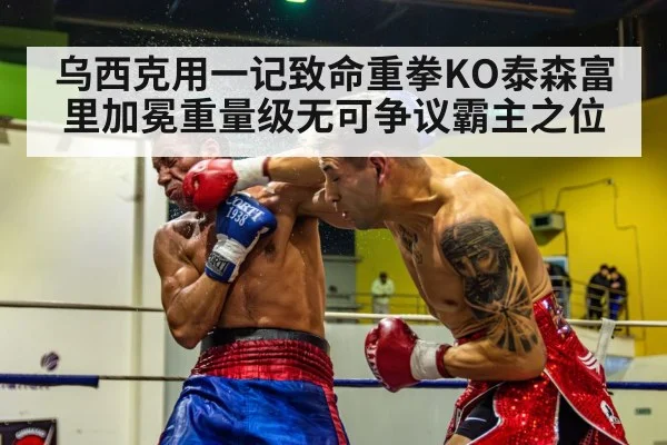 乌西克用一记致命重拳KO泰森富里加冕重量级无可争议霸主之位
